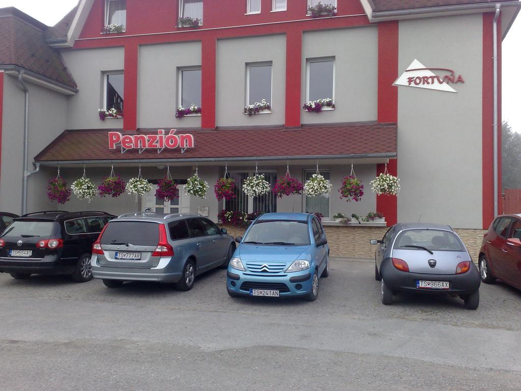 Guest House Penzion Fortuna Tvrdosin Extérieur photo